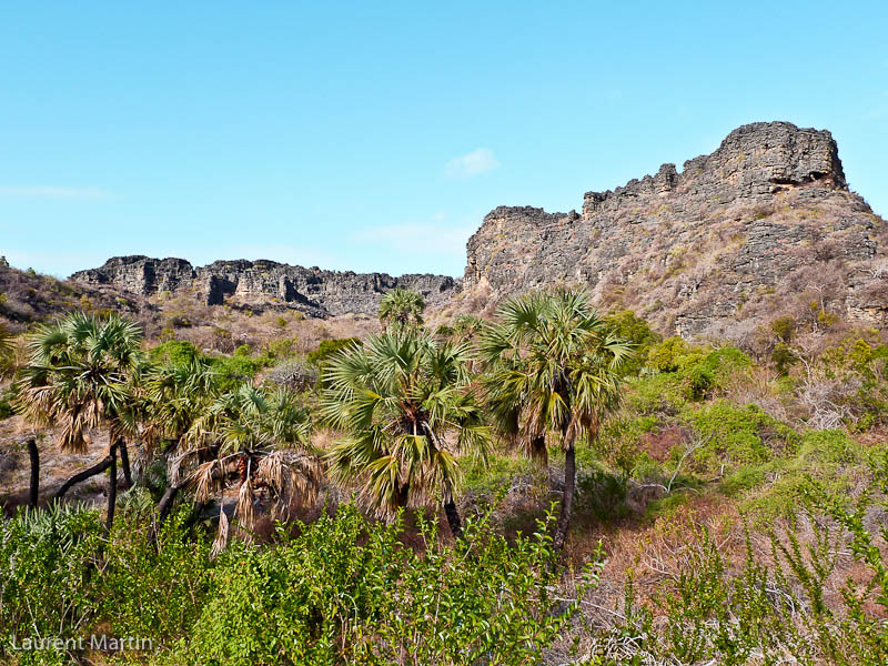 Canyon de la baie du camp