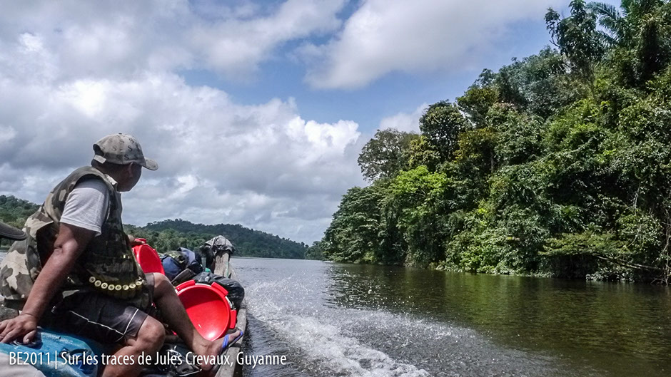 Pirogue sur la rivière, Guyane