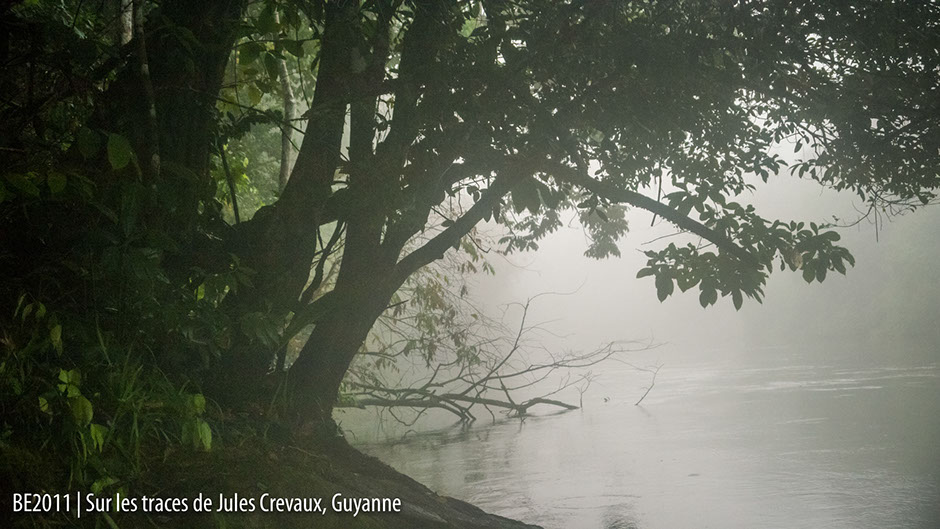 Brume sur la rivière Guyane